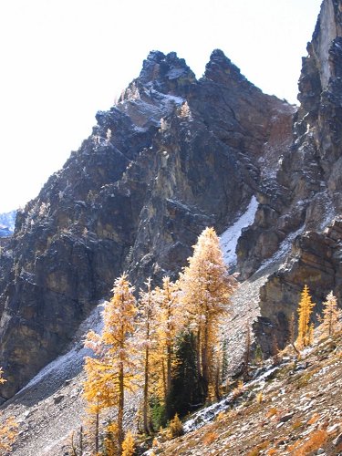 I liked how these trees and rocks all angled steeply upward.